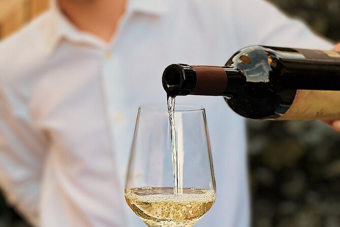 Dalmatian wine tasting by Bottiglia wine & deli - Who this Dalmatian tasting suits best