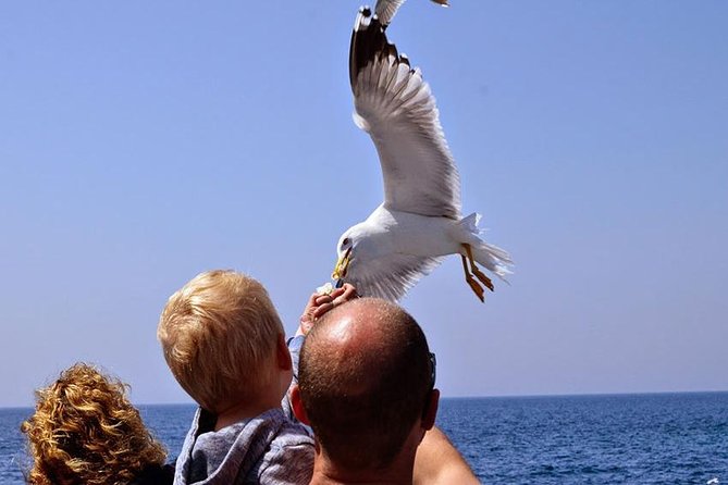 Day Cruise in the Elafiti Islands from Dubrovnik - Šipan stop: more inland character and time for deeper exploring