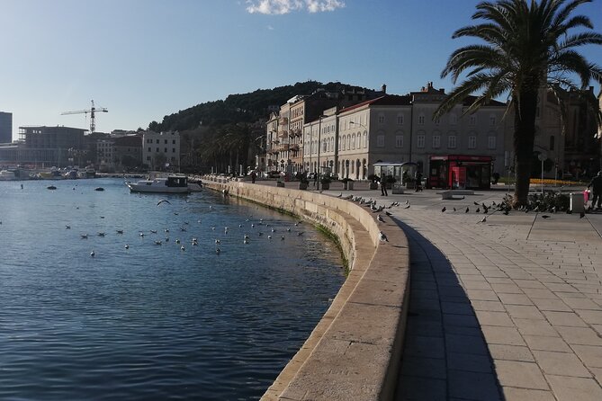 Diocletian's Palace Small Group Tour in Split - Stop 2: The Peristyle square and why it echoes like a stage