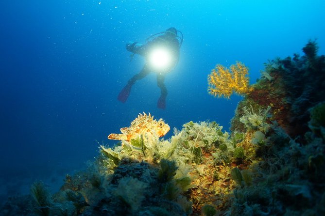 Diving day tour with 2 dives - Key takeaways before you go