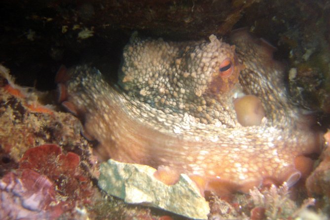 Diving day tour with 2 dives - The 1 to 1.5 hour surface break, and why you should treat it seriously