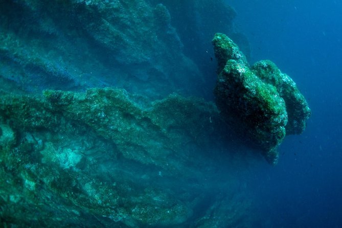 Diving day tour with 2 dives - Depth rules and who can go to 40m