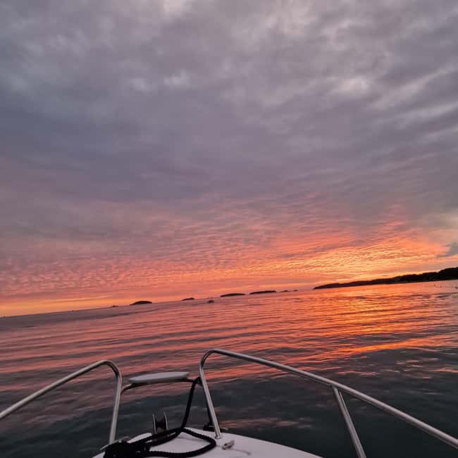 Dolphin private sunset tour Rovinj - Dolphin watching outside the coastline, done carefully