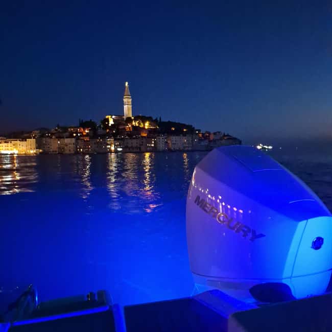 Dolphin private sunset tour Rovinj - Your skipper matters: guidance in English and German
