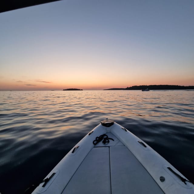 Dolphin private sunset tour Rovinj - Price and value: is $447 worth it?