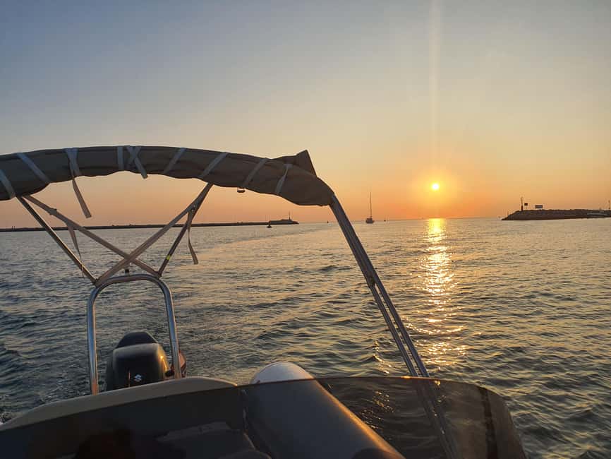 Dolphin safari every evening - Key highlights at a glance