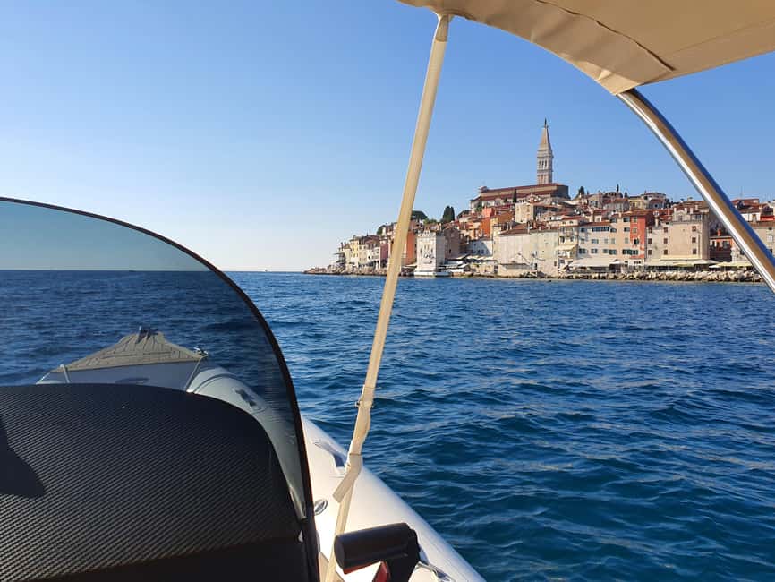 Dolphin safari every evening - Luxury speed boat basics, what $35 gets you