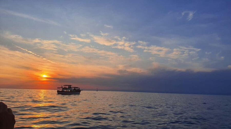 Dolphin safari every evening - Skipper included, and why good boat handling is part of the value
