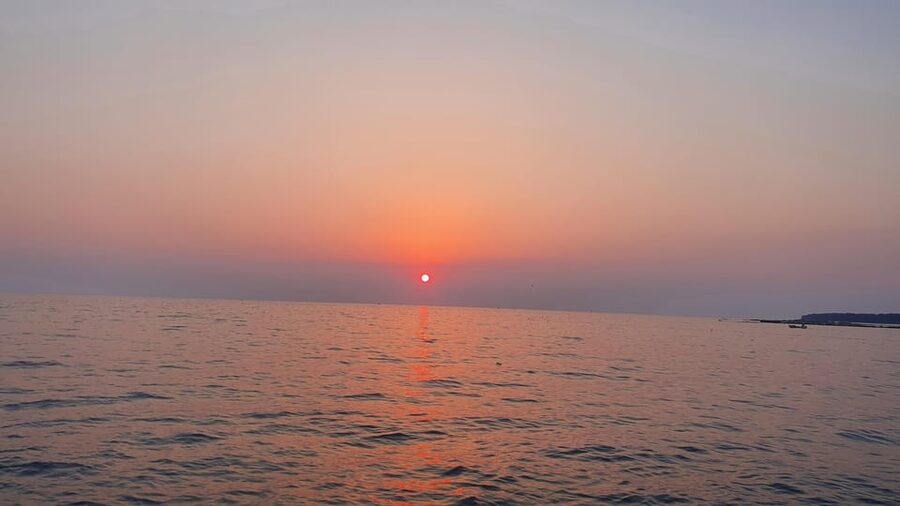 Dolphin safari every evening - 2-hour skipper training, knots, signals, docking, and why it is worth it