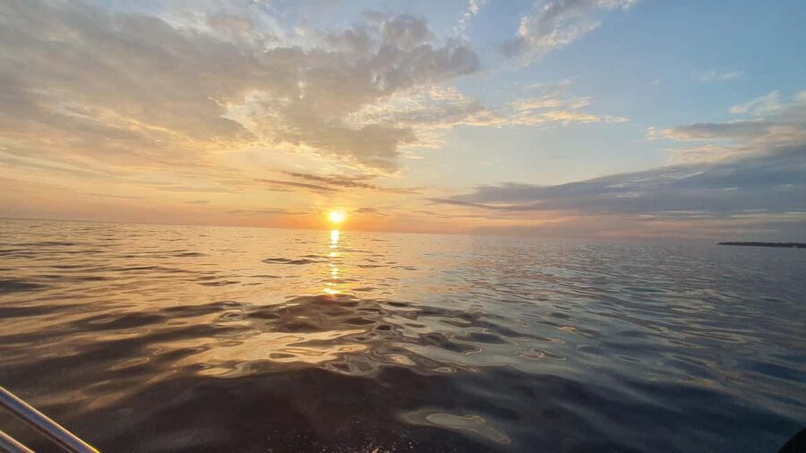 Dolphin safari every evening - What to bring for an evening at sea (so you do not waste the best hour)
