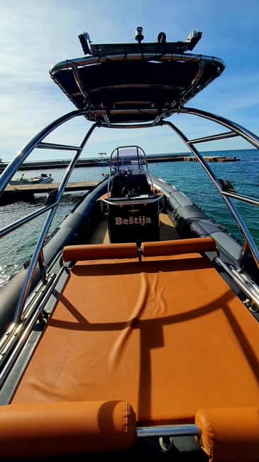 Dolphin safari every evening - Dolphin sightings are wildlife, so be ready for Plan B