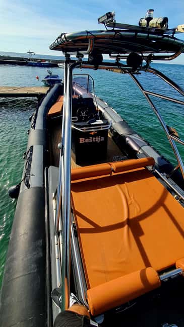 Dolphin safari every evening - Why the skipper’s approach can make or break your viewing