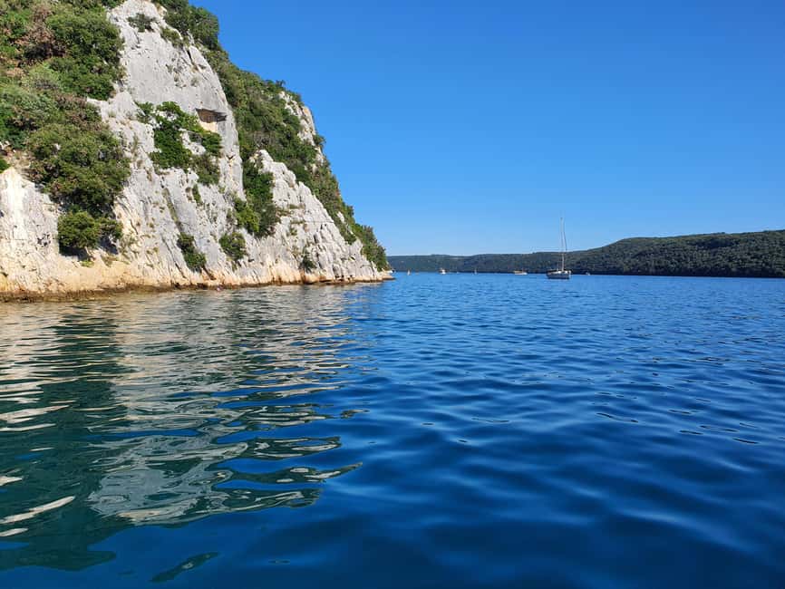Dolphin safari every evening - The 19:00 to 20:00 dolphin safari, how your hour actually feels