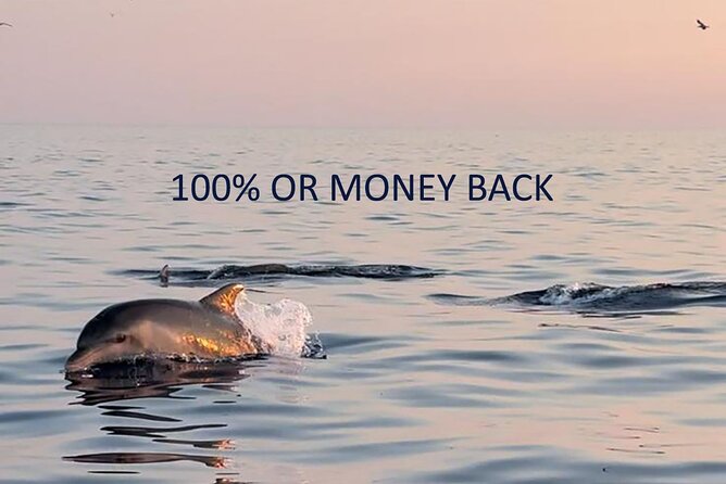 Dolphin Sunrise Adventure with Speedboat - Key Points That Make This Trip Different