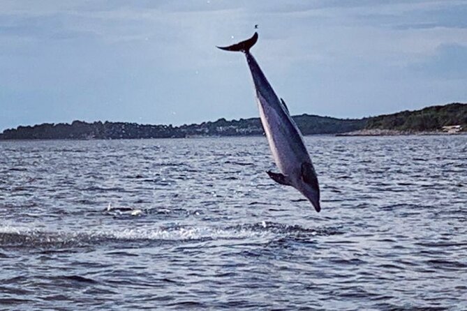 Dolphin Sunrise Adventure with Speedboat - Sunrise Over the Horizon: Why the Timing Matters