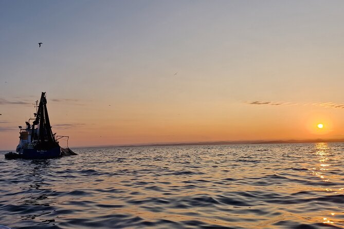 Dolphin Sunrise Adventure with Speedboat - Small Group Size and the Guide Experience