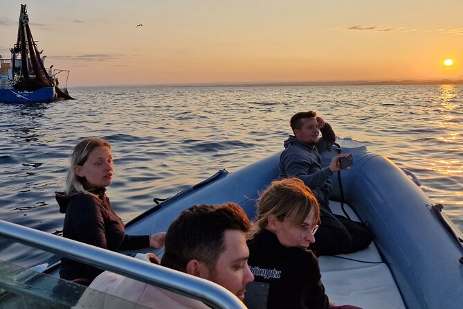 Dolphin Sunrise Adventure with Speedboat - Price and Value: Is It Worth $42.17?