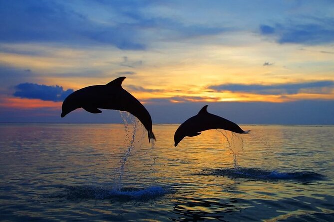 Dolphin Sunset Adventure with Speedboat - Weather Reality Check: Wind, Waves, and Getting Soaked