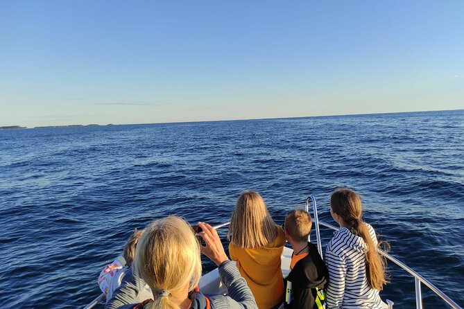 Dolphin Sunset Adventure with Speedboat - Price and Value: $30.25 for a Dolphin-Focused Hour and a Half