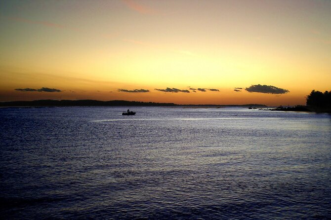 DOLPHIN WATCHING | Pula Boat - Who this dolphin watching tour suits best