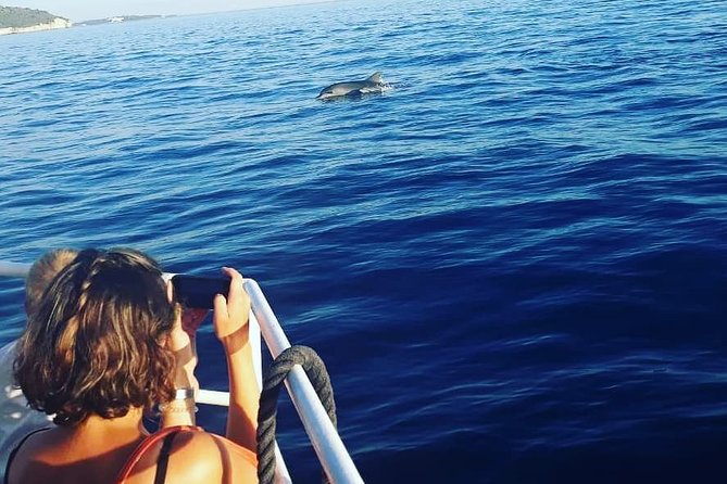 Dolphin Watching & Sunset Boat Tour With Dinner and Drinks - Who this cruise suits best in Pula