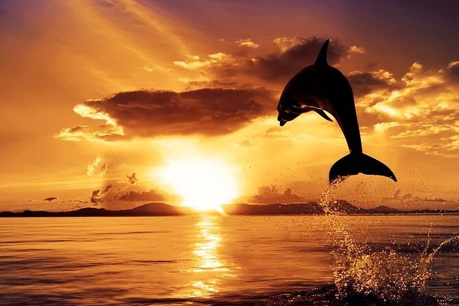 Dolphin Watching & Sunset Boat Tour With Dinner and Drinks - The Europa boat: where comfort matters on a 3-hour ride