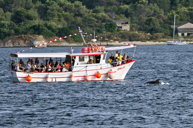 Dolphin Watching Sunset Boat Trip in Pula with Dinner - Sunset boat trip from Pula, with dolphins and dinner in one package