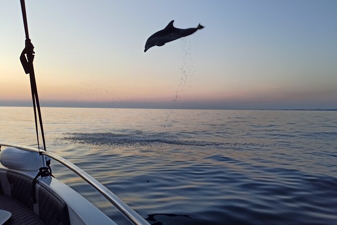 Dolphin Watching Sunset Speedboat Tour with Drinks in Rovinj - Pickup at the end of the pier, and how not to miss the boat