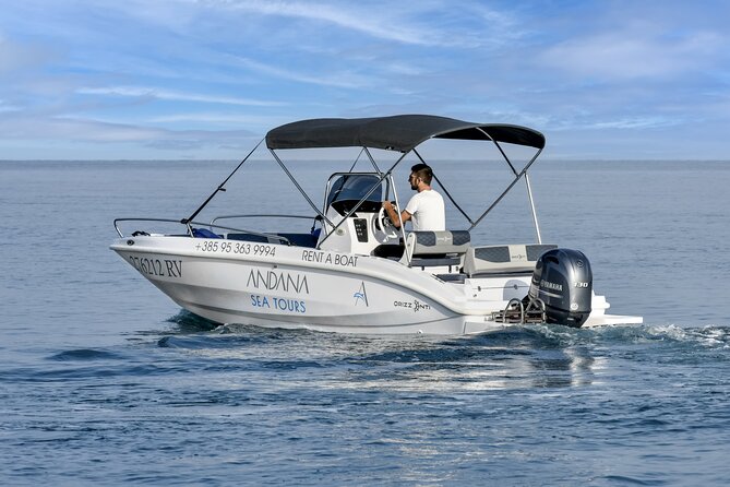 Dolphin Watching Sunset Speedboat Tour with Drinks in Rovinj - Weather, animal unpredictability, and how to set your expectations