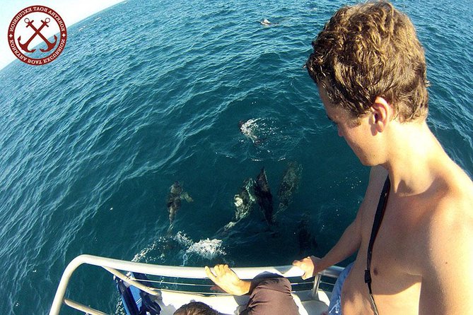 Dolphins Watching in the National Park Brijuni from Pula - Key highlights to know before you go
