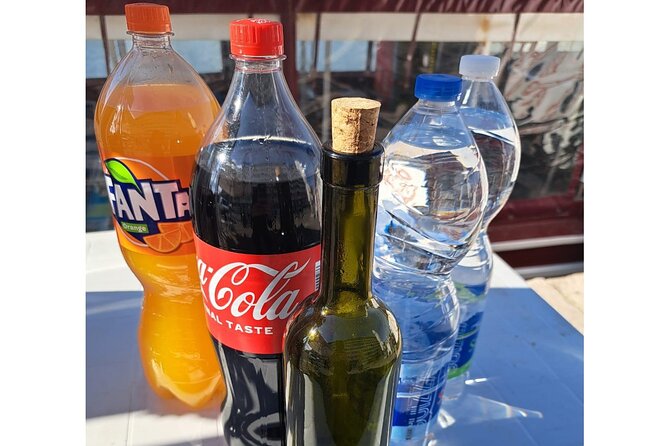 Dolphins Watching in the National Park Brijuni from Pula - Unlimited wine and soft drinks, plus a few practical notes
