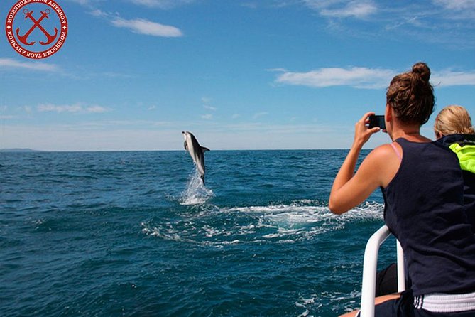 Dolphins Watching in the National Park Brijuni from Pula - Getting on board in Pula, and how the 3 hours flow