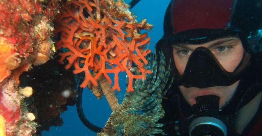 Dubrovnik: 1-Day Diving Package - Key highlights at a glance