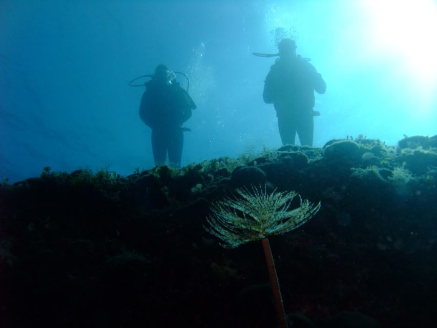 Dubrovnik: 1-Day Diving Package - Equipment, instructors, and the small-group advantage