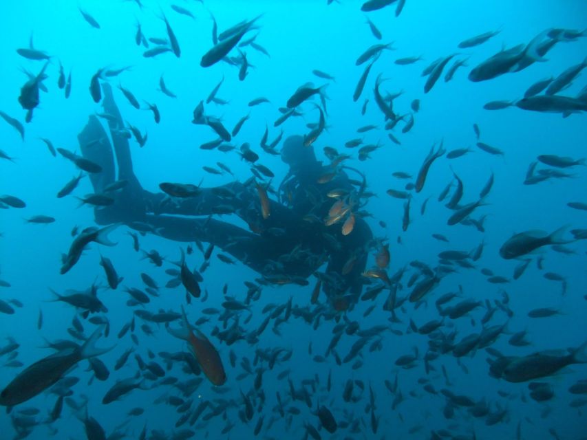 Dubrovnik: 1-Day Diving Package - The “why” behind this 1-day scuba plan