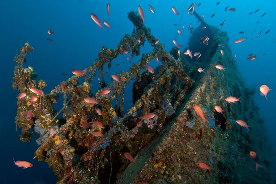 Dubrovnik: 1-Day Diving Package - How the underwater sites get chosen