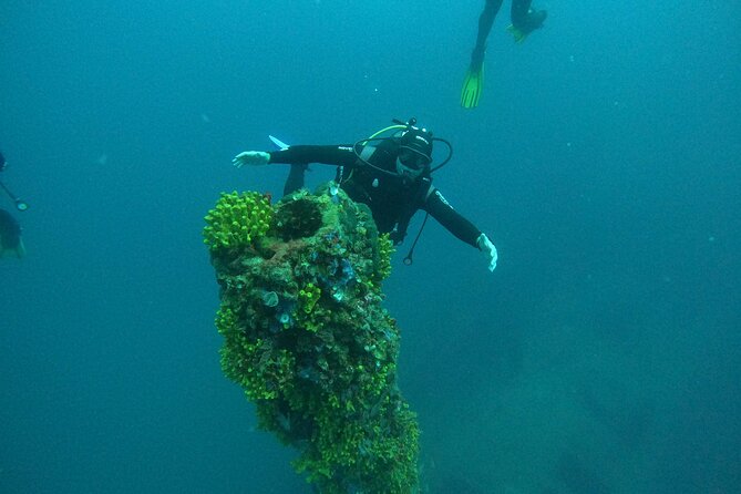 Dubrovnik 1 Dive for Certified Divers - Timing and booking: why starting early helps