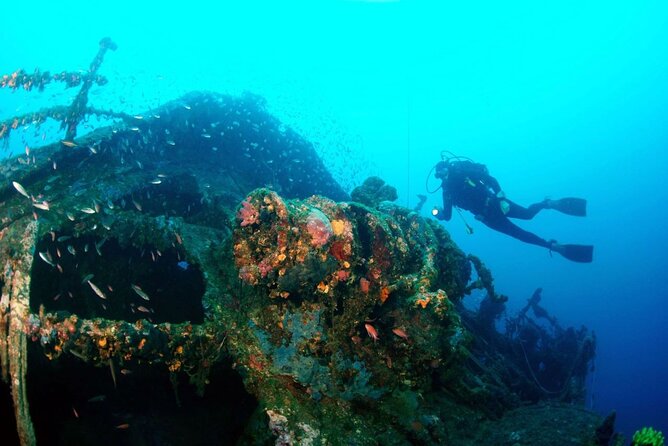 Dubrovnik 1 Dive for Certified Divers - From check-in to gear-up: what your timeline feels like