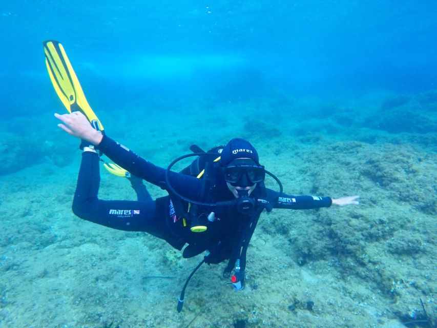 Dubrovnik 2-Hour Uncertified Divers Introductory Dive - Meeting Point at Dubrovnik Palace, and What That Means for Your Day