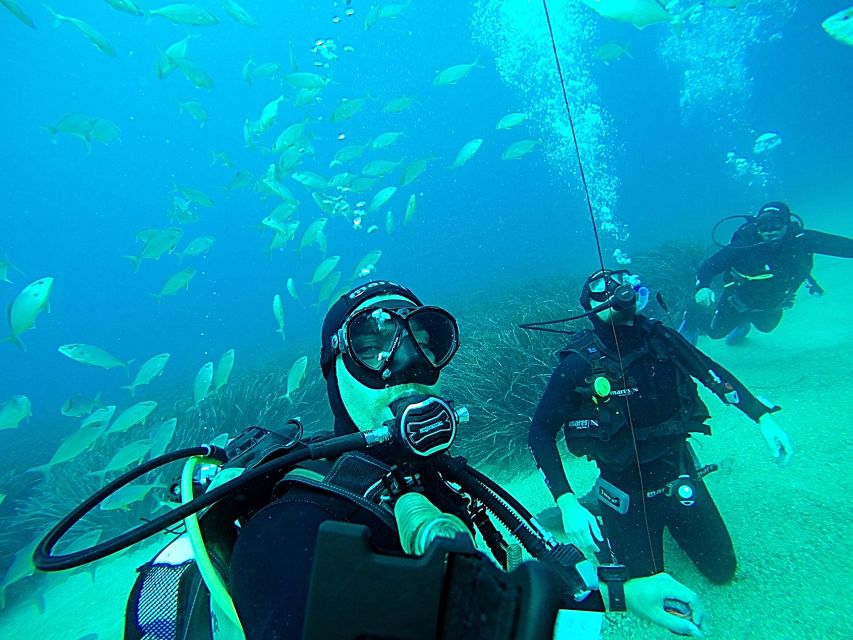Dubrovnik 2-Hour Uncertified Divers Introductory Dive - When Weather, Time, and Conditions Change