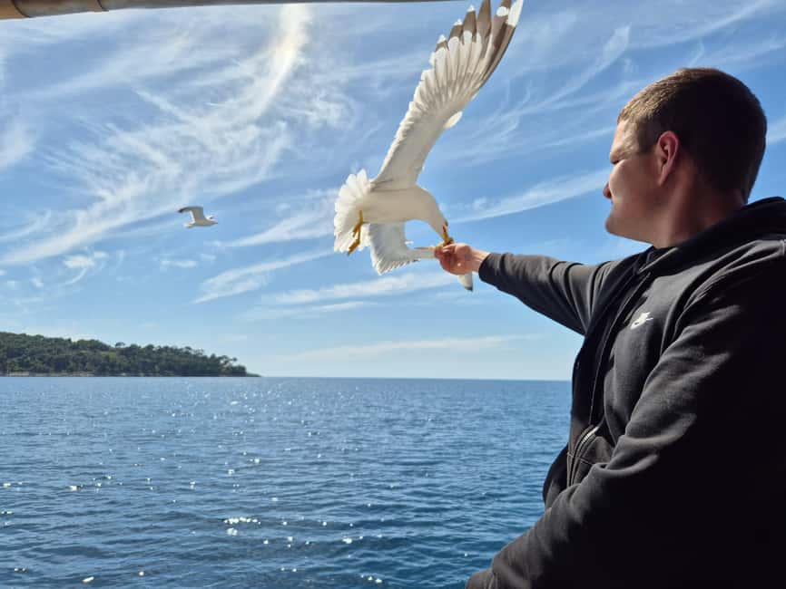 Dubrovnik: 3 Island Boat Tour with Lunch and Guide - Lopud Island: beach time, a botanical-garden vibe, and the lunch window