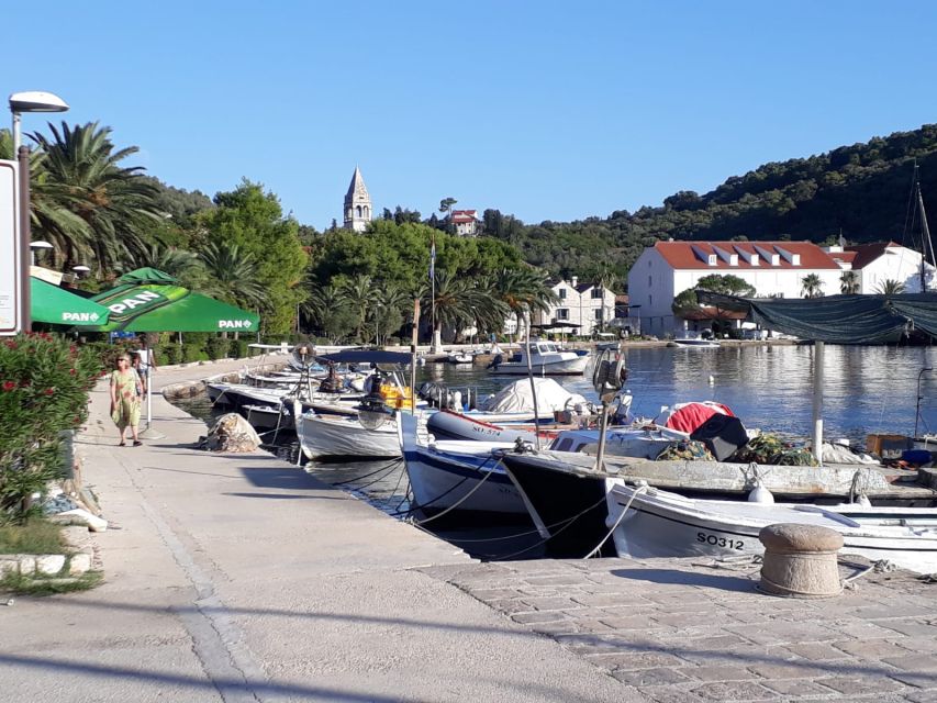 Dubrovnik: All-inclusive Islands and Caves Private Boat Tour - Koločep Island: Fishing Village Walking and Sea-Level Relaxing