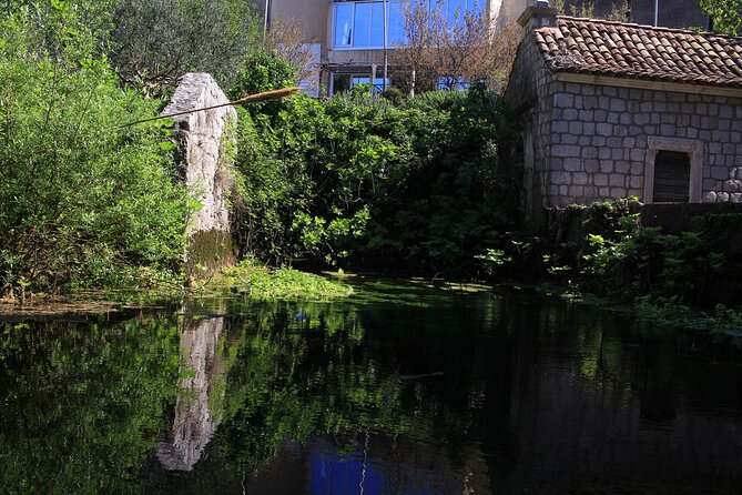 Dubrovnik: Best views Sightseeing Tour - Who This Tour Fits Best (And Who Might Skip It)