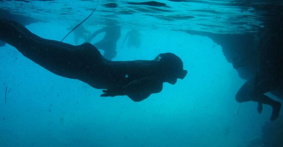 Dubrovnik: Blue Cave & Sunj Beach Boat Tour with Drinks - Key moments I’d center in your day