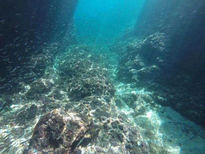 Dubrovnik: Blue Cave Tour by Speedboat with Small Group - Price and value: is $80 worth a cave and beach day?