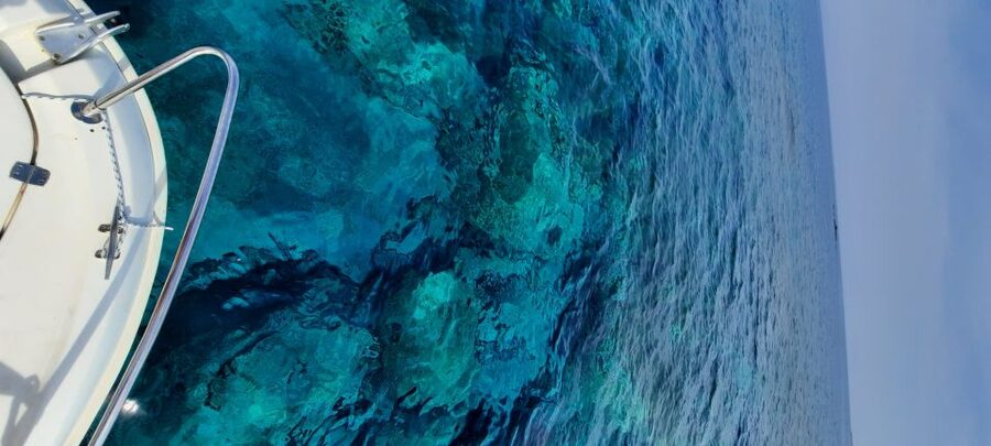 Dubrovnik: Blue Cave Tour by Speedboat - Finding the Meeting Point by Antonio or the Red Shirt