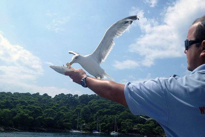 Dubrovnik Elafiti Islands Cruise with Lunch, Drinks and Pickup - Lunch and Drinks on Board: Food That Actually Makes the Day Easy