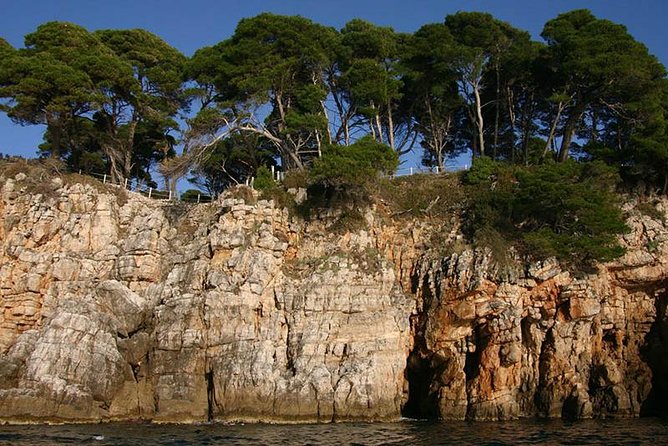 Dubrovnik Elafiti Islands Cruise with Lunch, Drinks and Pickup - Getting From Your Hotel to Lapadska obala 5 (and Back)