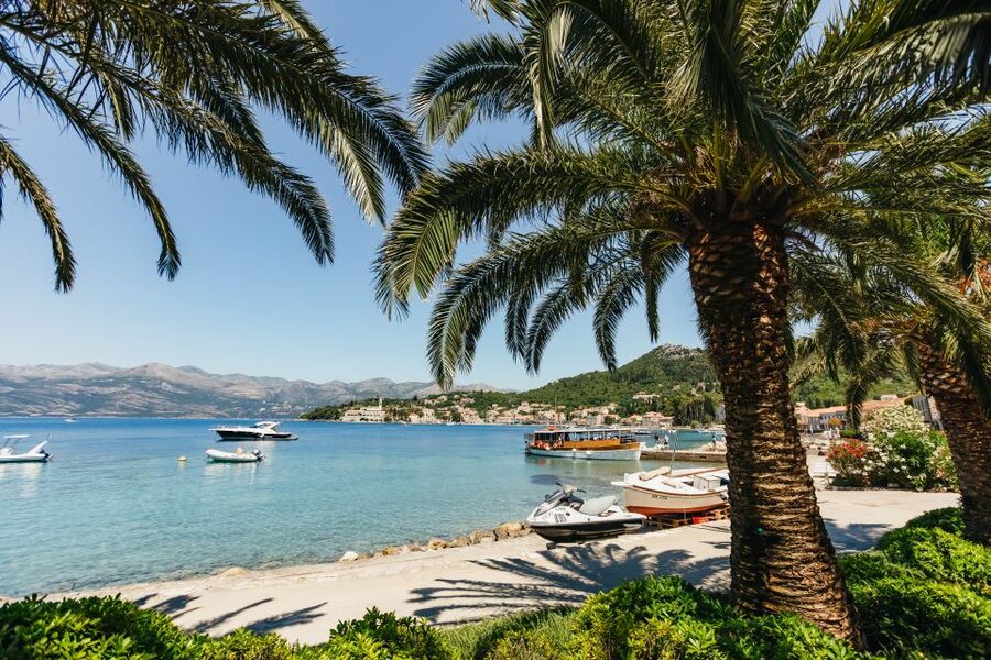 Dubrovnik: Elaphite Island Cruise w/ Drinks & Optional Lunch - Koločep for Swimming and Pine-Forest Air