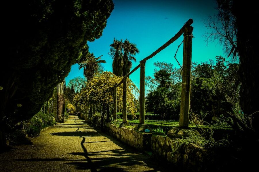 Dubrovnik: Game of Thrones Complete Tour - Trsteno Arboretum and the King’s Landing Gardens moment